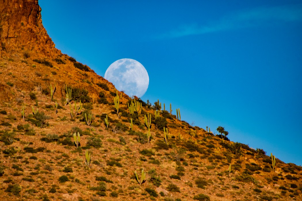 Sea of Cortez Small Ship Cruises - Baja California | Pacific Catalyst II